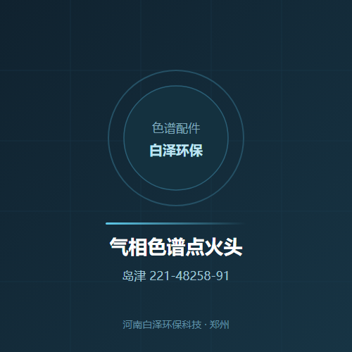 气相色谱点火头